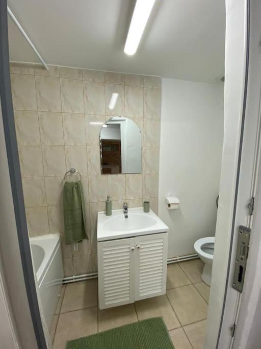House Apartment In טימישוארה מראה חיצוני תמונה
