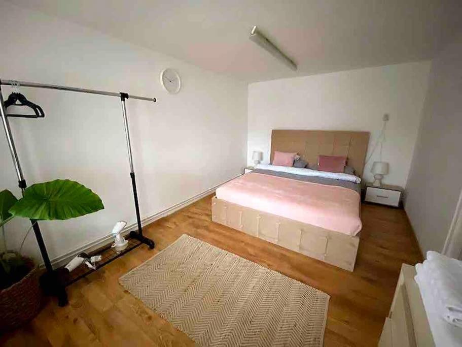 House Apartment In טימישוארה מראה חיצוני תמונה