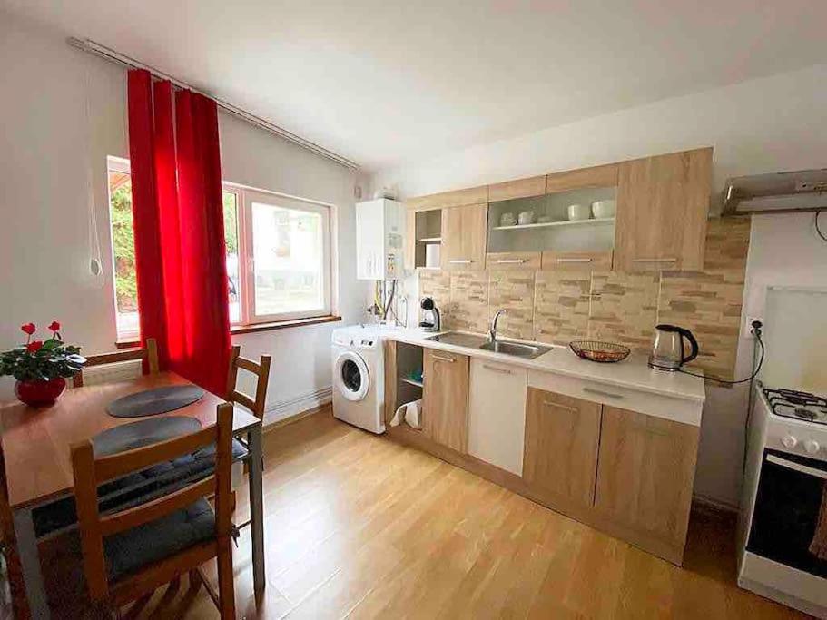 House Apartment In טימישוארה מראה חיצוני תמונה